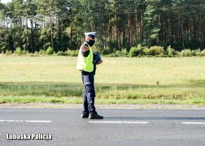 Policjant podczas czynności na drodze.